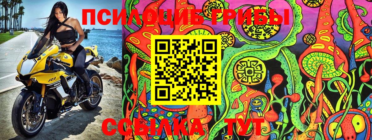 Зеленокумск  Псилоцибиновые грибы MAGIC MUSHROOMS  Вход с VPN 