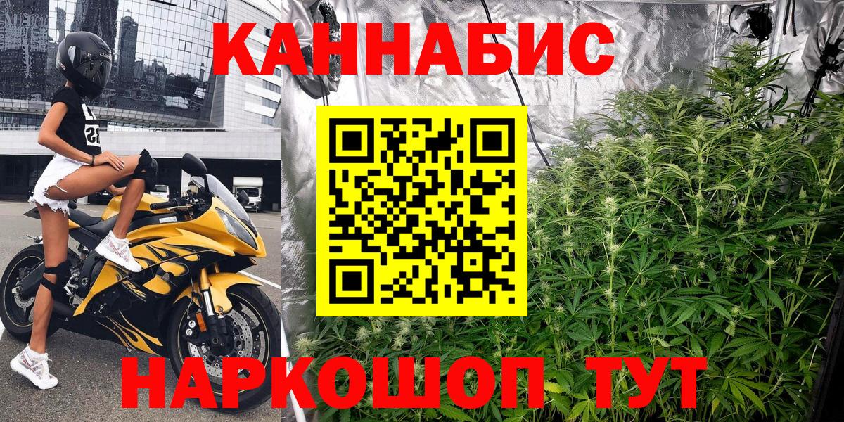 Бошки Шишки сатива Зеленокумск